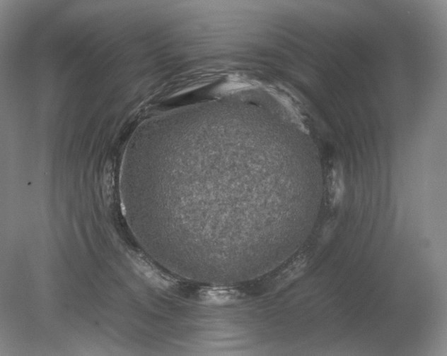 X0000079280372200612011704