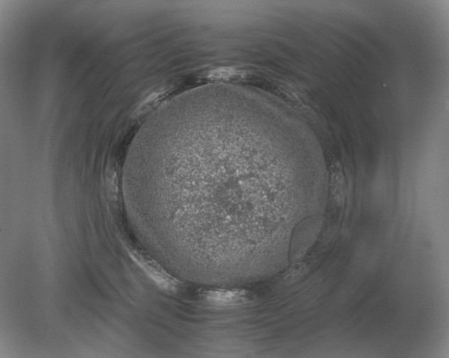 X0000079280375200612011704