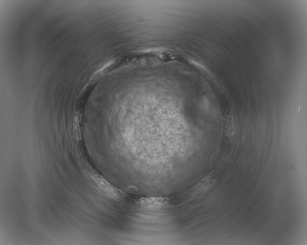 X0000079280378200612011704