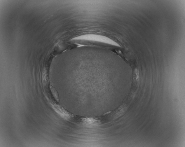 X0000079280380200612011704