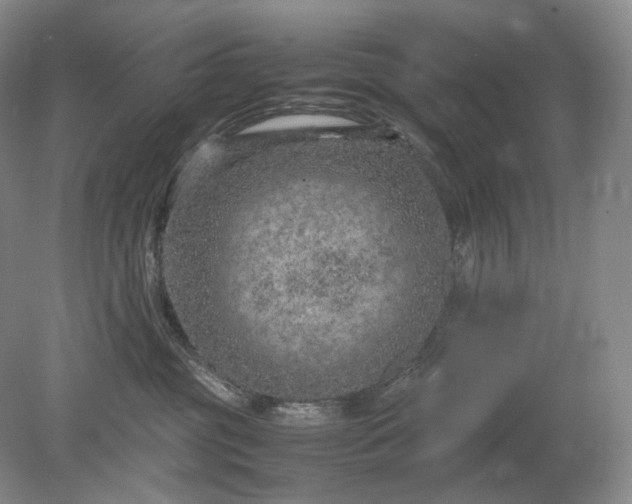 X0000079280381200612011704