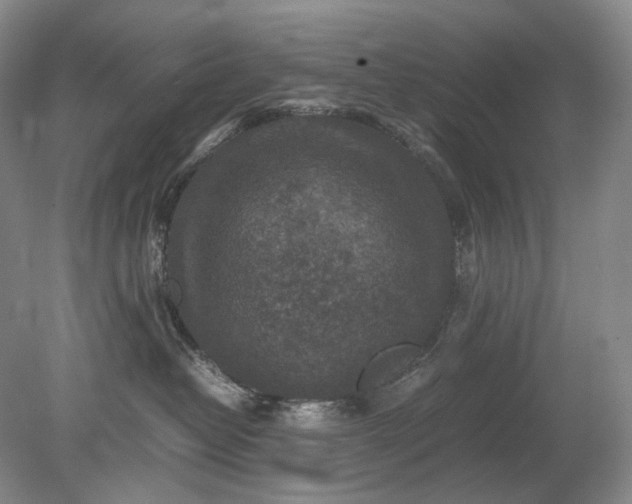 X0000079280382200612011704