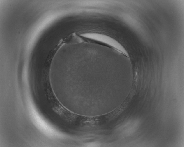 X0000079280383200612011704