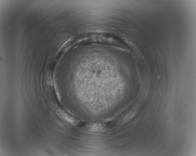 X0000079280384200612011704