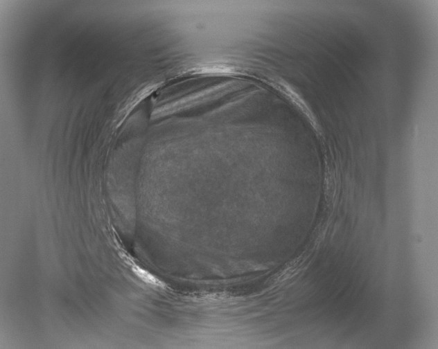 X0000079280385200612011704