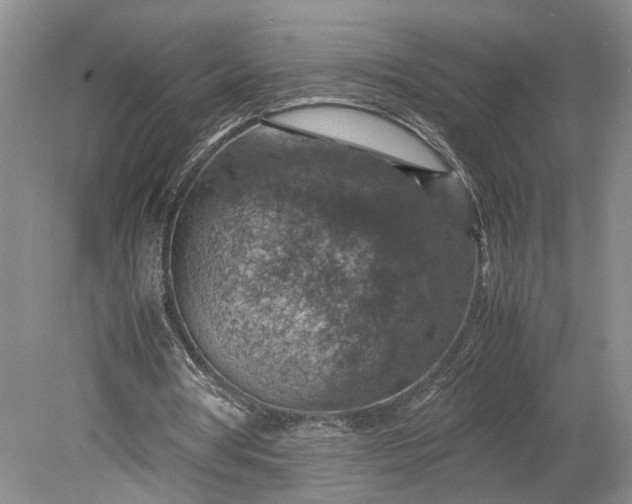 X0000079280386200612011703