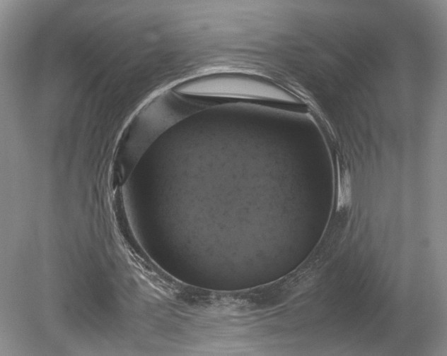 X0000079280387200612011703