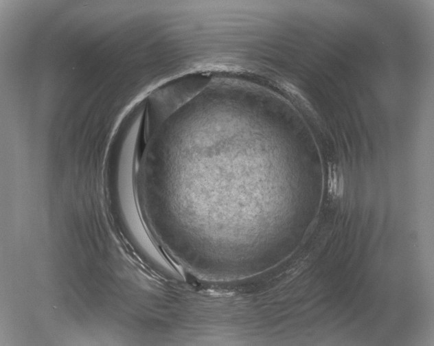 X0000079280388200612011703