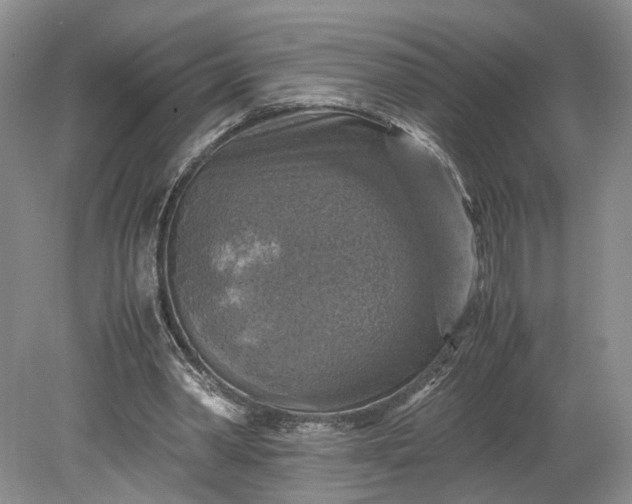 X0000079280390200612011703