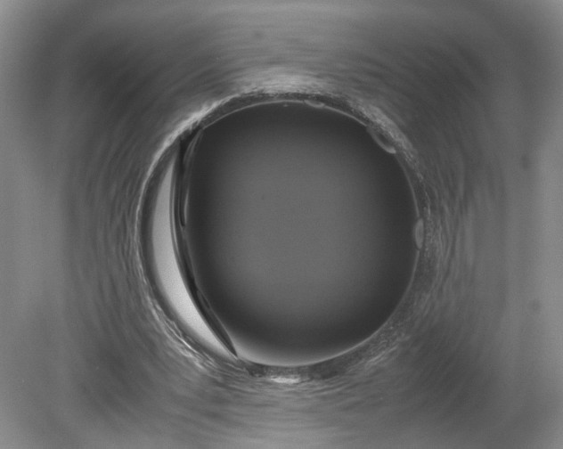 X0000079280391200612011703