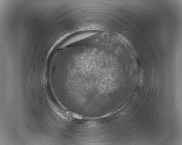 X0000079280392200612011703