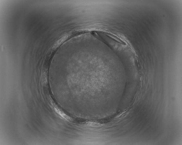 X0000079280393200612011703