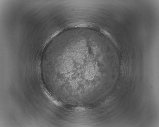 X0000079280394200612011703