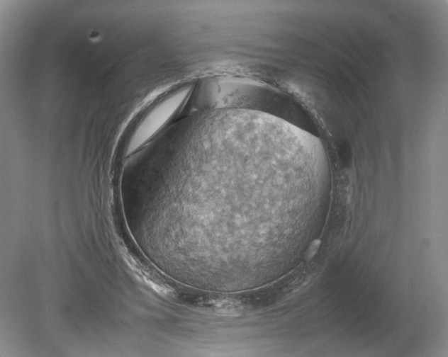 X0000079280395200612011703