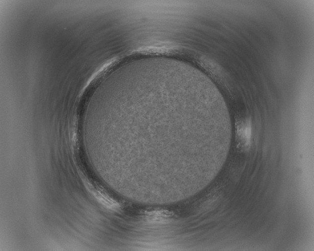 X0000079280396200612011703