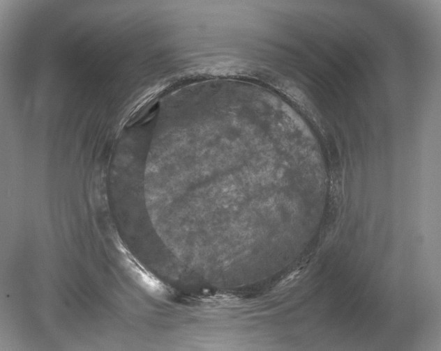 X0000079280397200612011703