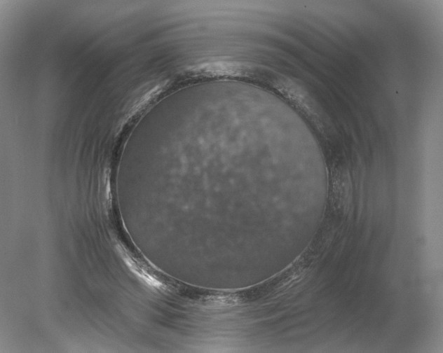 X0000079280398200612011703