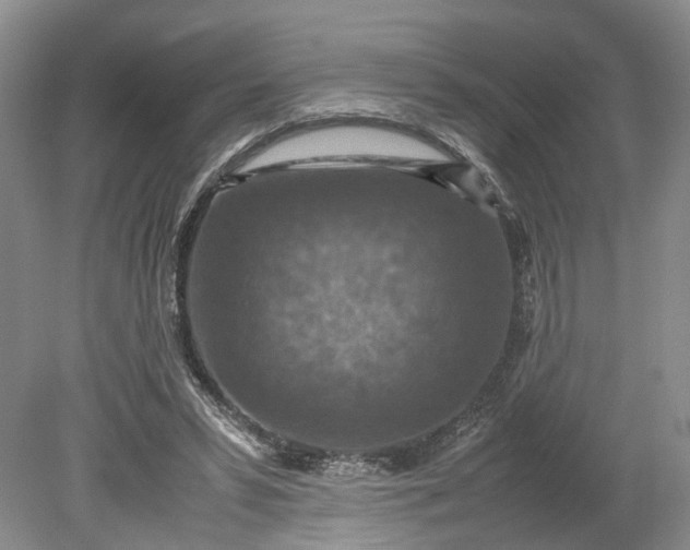 X0000079280399200612011703