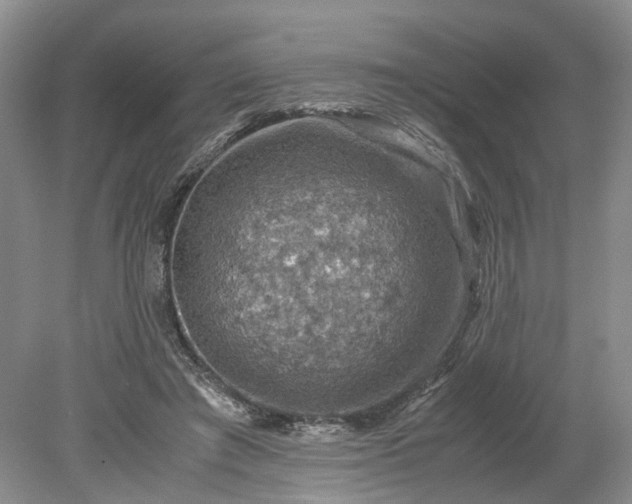 X0000079280401200612011703