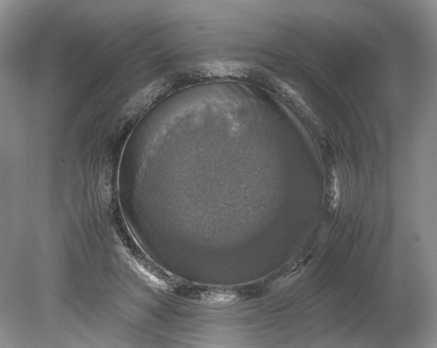 X0000079280402200612011703