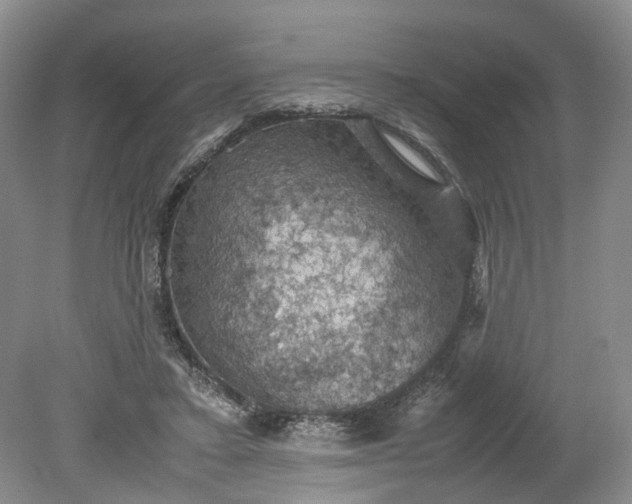 X0000079280403200612011703