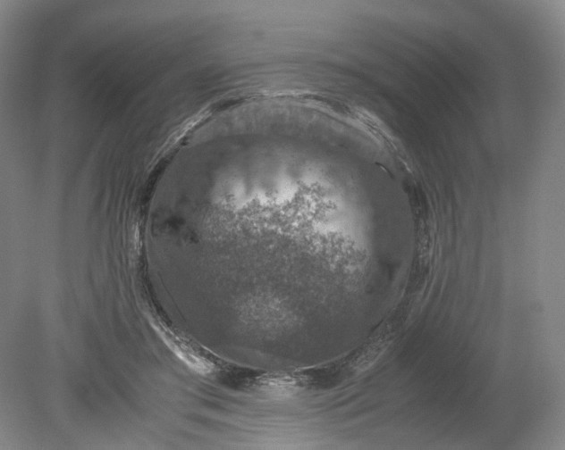 X0000079280405200612011703