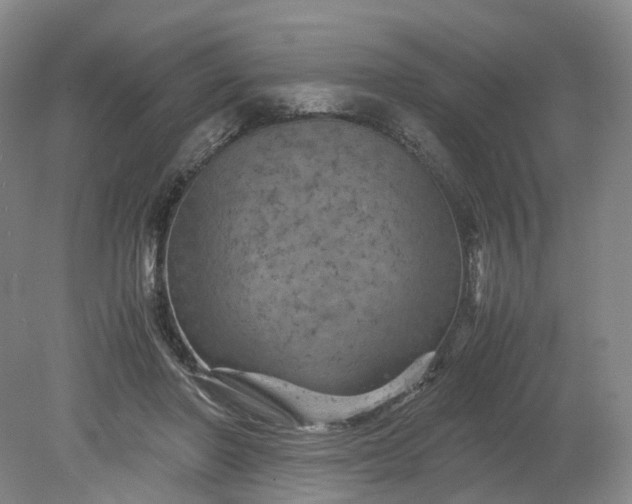 X0000079280406200612011703