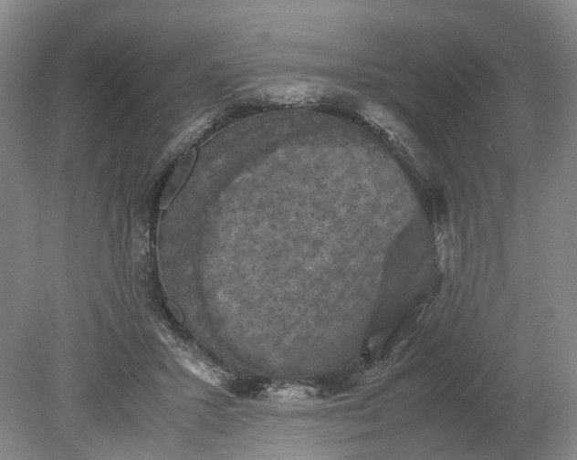 X0000079280407200612011703