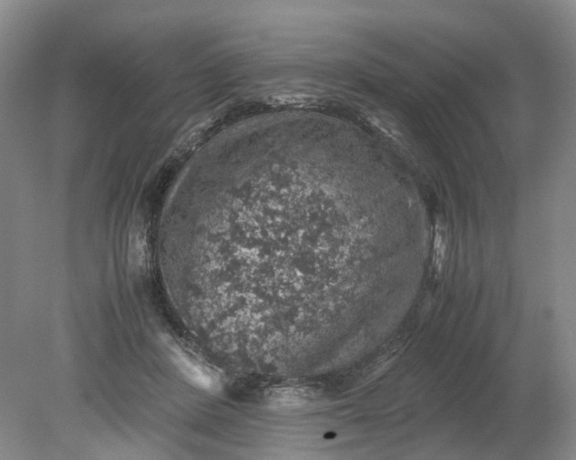 X0000079280408200612011703