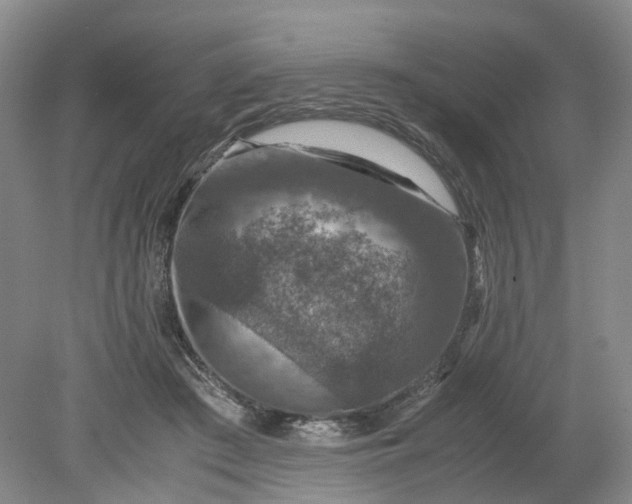 X0000079280409200612011703