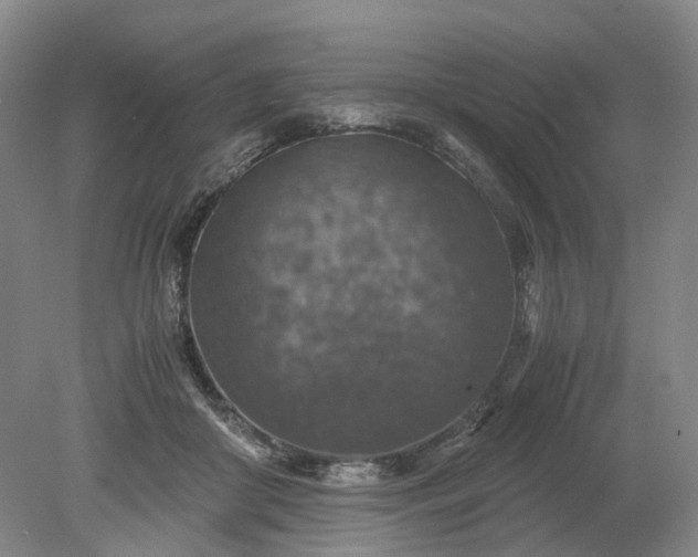 X0000079280410200612011703