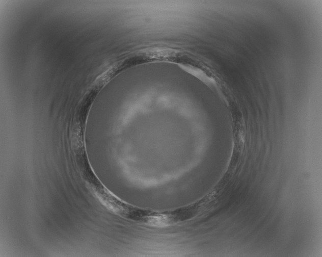 X0000079280411200612011703