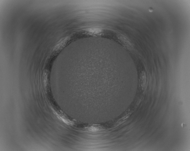 X0000079280412200612011703