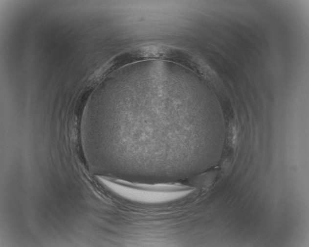 X0000079280413200612011703