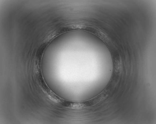 X0000079280414200612011703