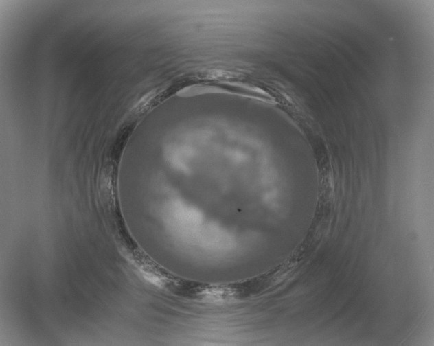 X0000079280415200612011703