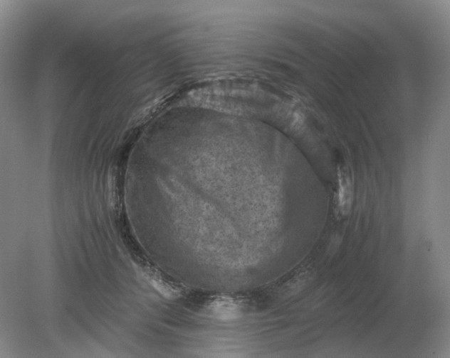 X0000079280416200612011703