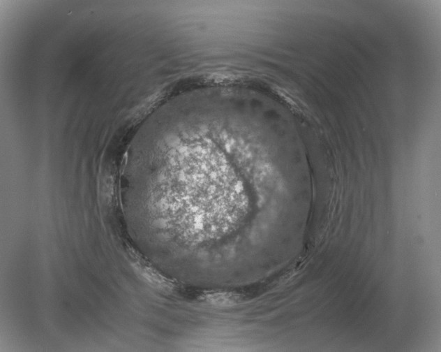 X0000079280417200612011703