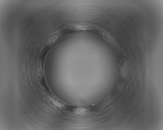 X0000079280418200612011703