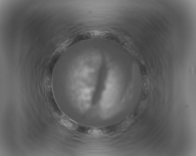 X0000079280419200612011703