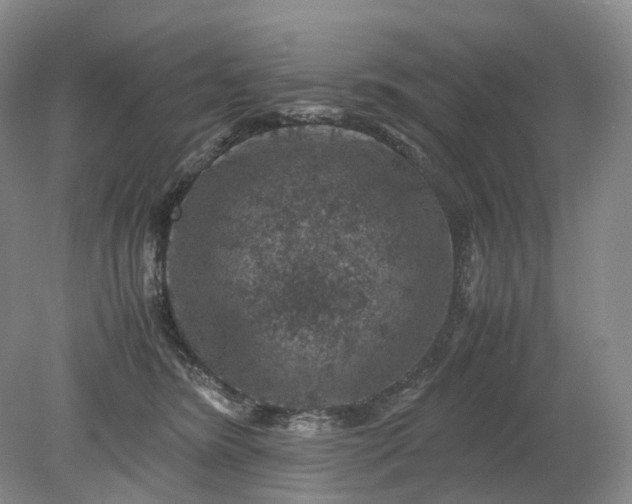 X0000079280420200612011703