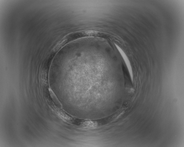 X0000079280421200612011703