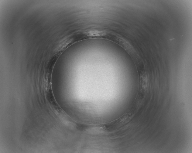 X0000079280422200612011703