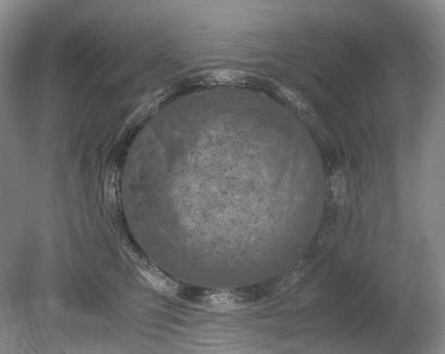 X0000079280423200612011703