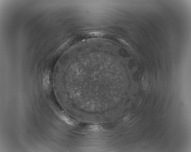 X0000079280424200612011703