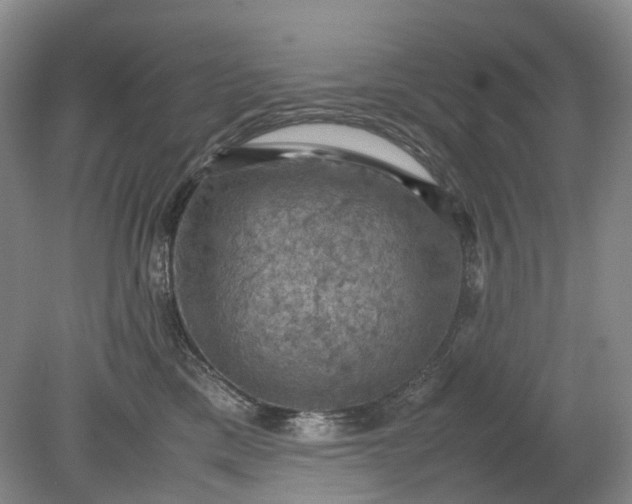 X0000079280425200612011703