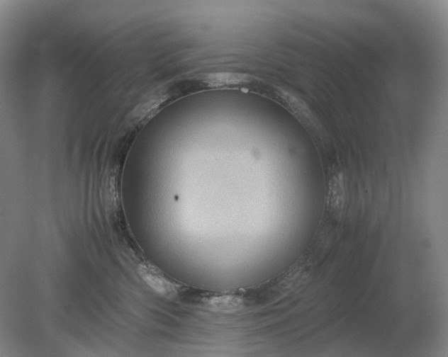 X0000079280426200612011703