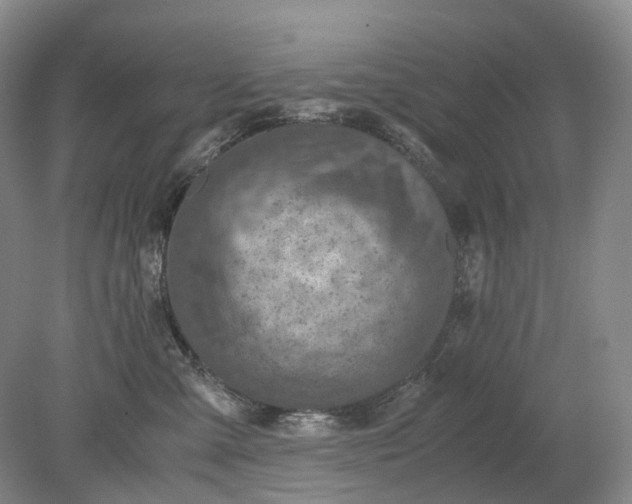 X0000079280427200612011703