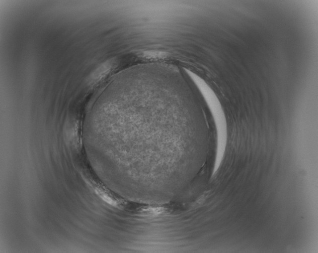 X0000079280428200612011703