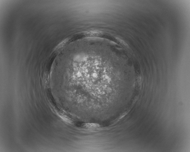 X0000079280429200612011703